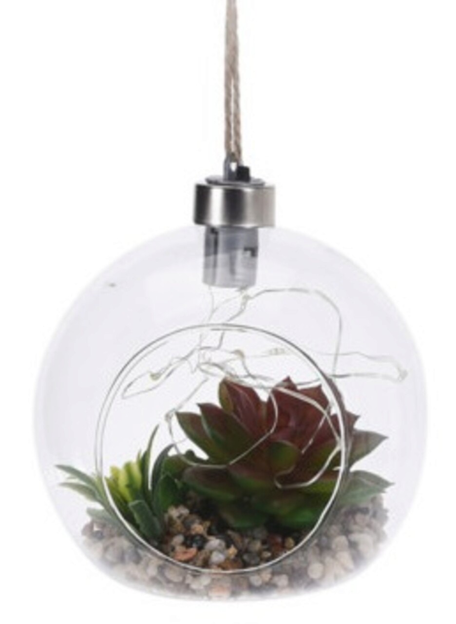Decoratiune luminoasa Echeveria graptopetalum, 12x12 cm, polipropilena - imagine 3